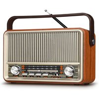 Radio Prunus J-120