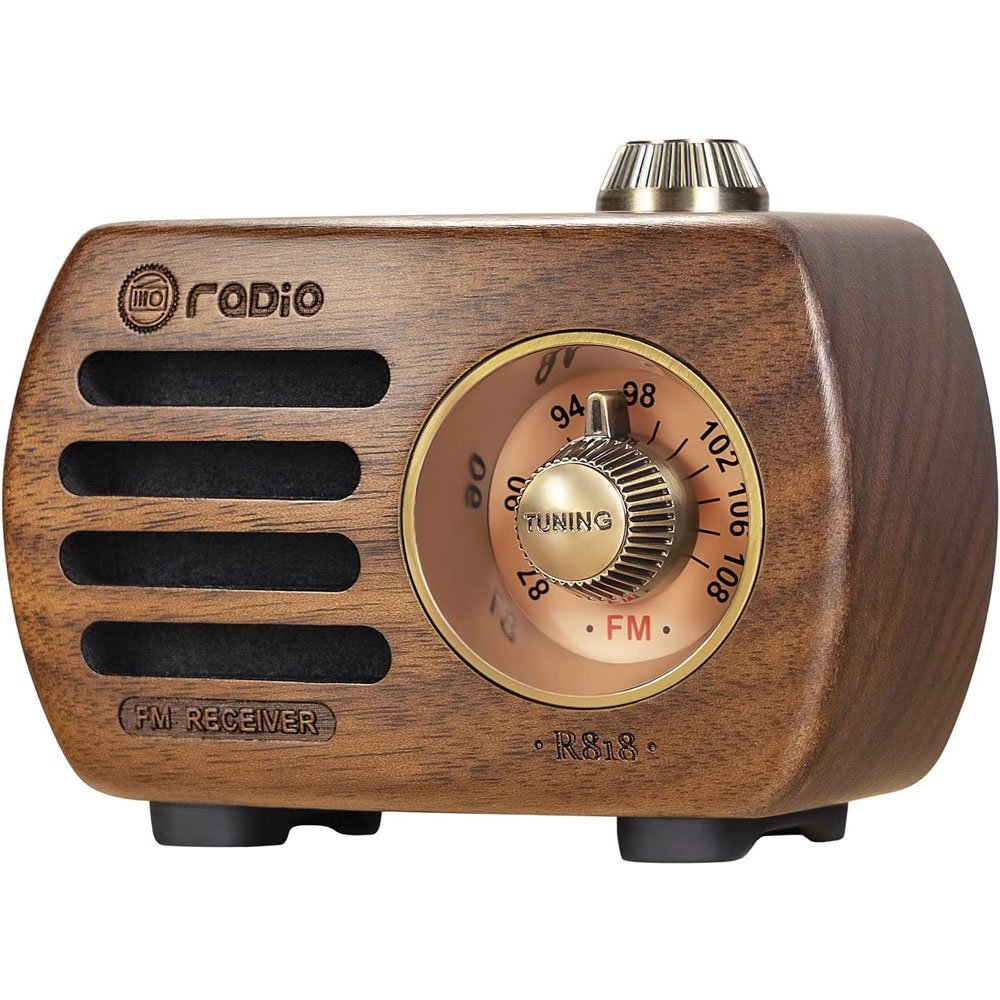 Radio Prunus R-818