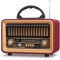 Radio Prunus J-170