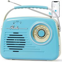 Radio Bingxue P350